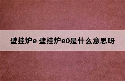 壁挂炉e 壁挂炉e0是什么意思呀